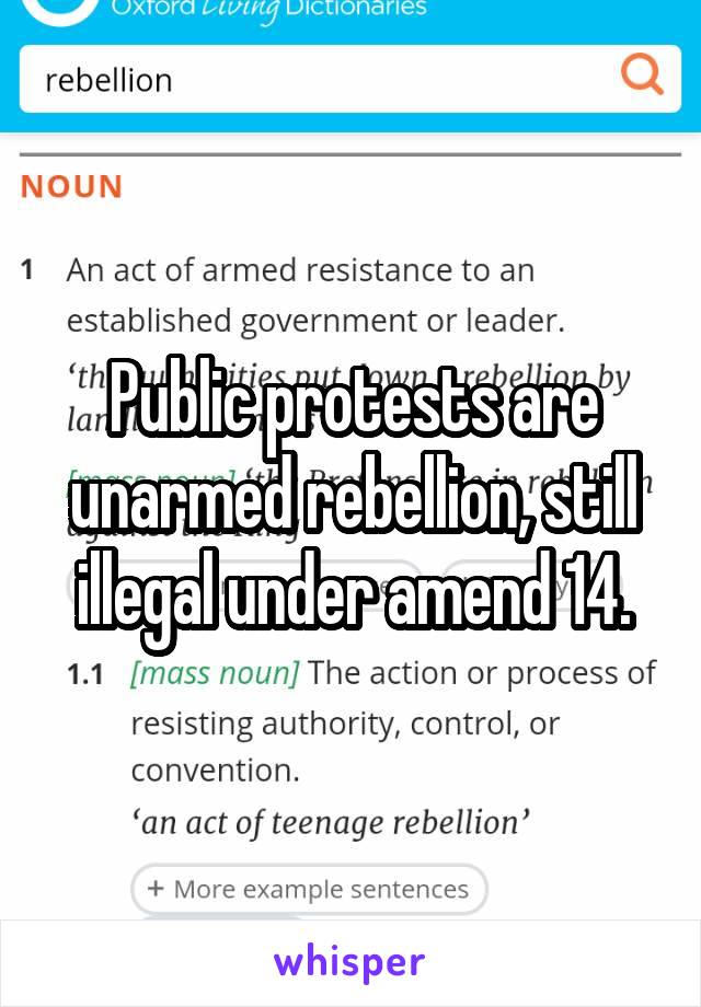 Public protests are unarmed rebellion, still illegal under amend 14.