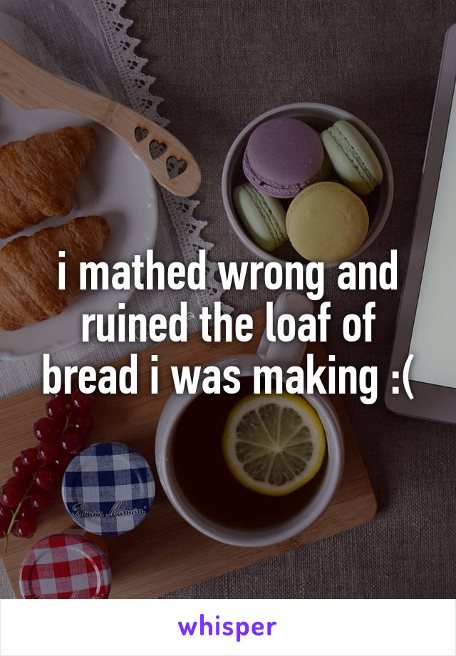 i mathed wrong and ruined the loaf of bread i was making :(