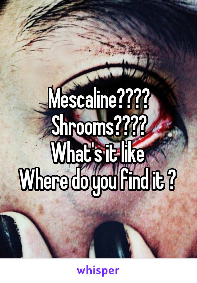 Mescaline????
Shrooms????
What's it like 
Where do you find it ? 