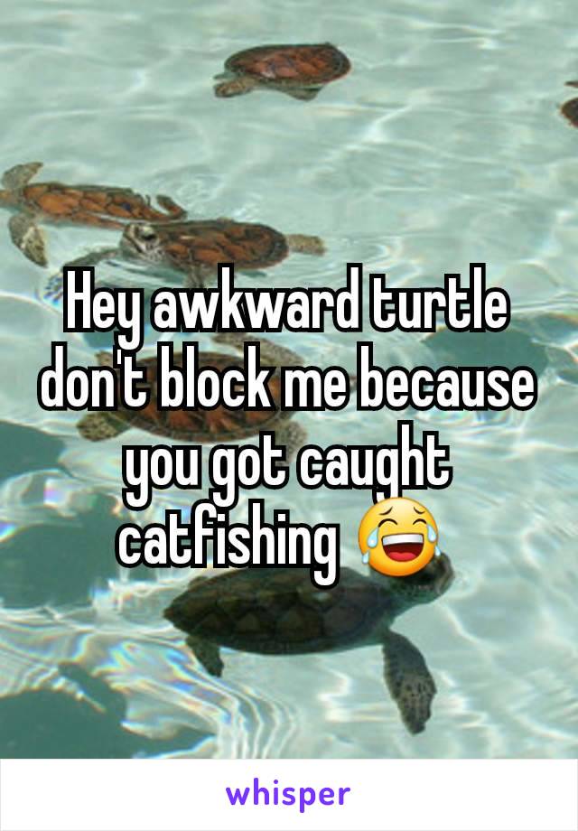 Hey awkward turtle don't block me because you got caught catfishing 😂 