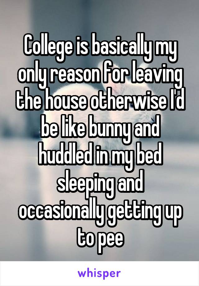 College is basically my only reason for leaving the house otherwise I'd be like bunny and huddled in my bed sleeping and occasionally getting up to pee