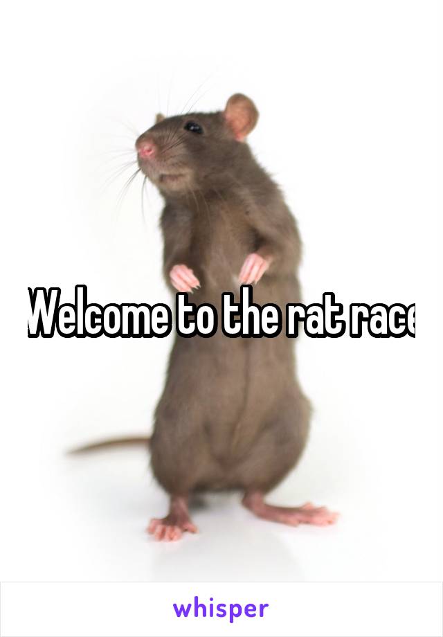Welcome to the rat race