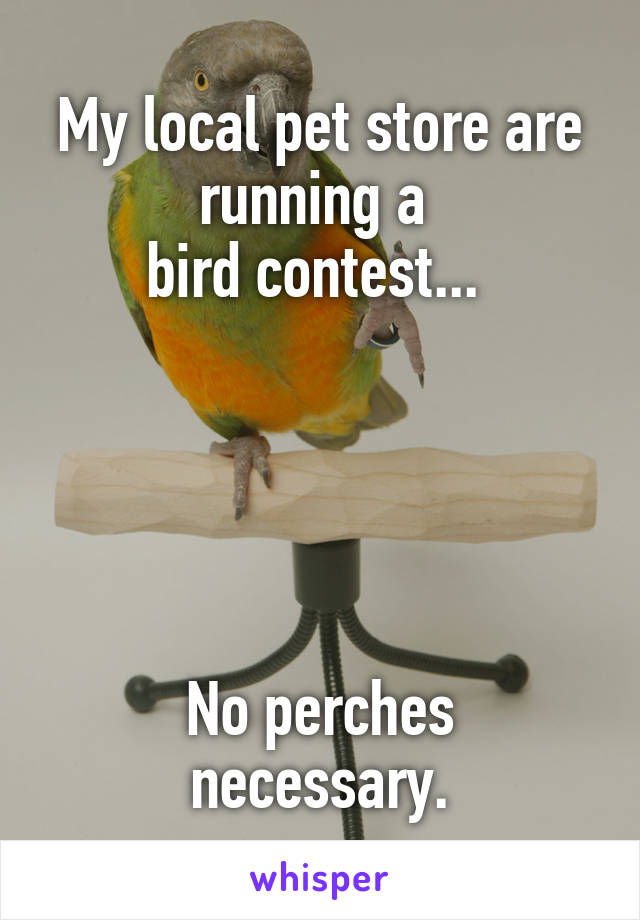 My local pet store are running a 
bird contest... 





No perches necessary.