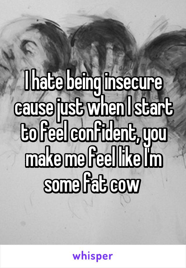 I hate being insecure cause just when I start to feel confident, you make me feel like I'm some fat cow 