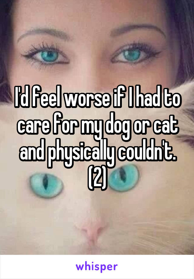 I'd feel worse if I had to care for my dog or cat and physically couldn't. (2)