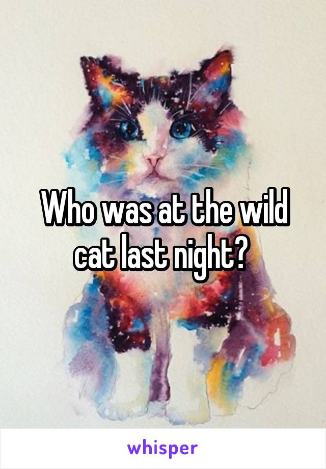 Who was at the wild cat last night? 