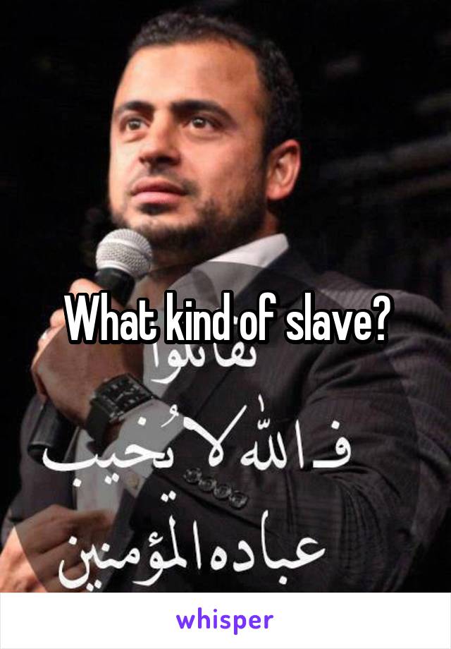What kind of slave?