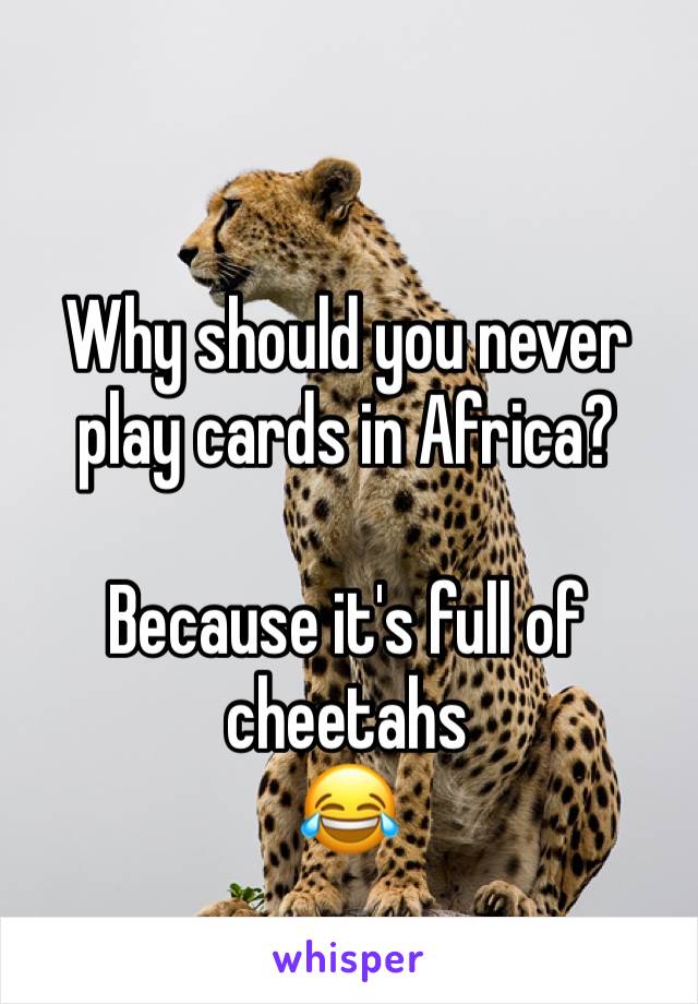 Why should you never play cards in Africa? 

Because it's full of cheetahs
😂