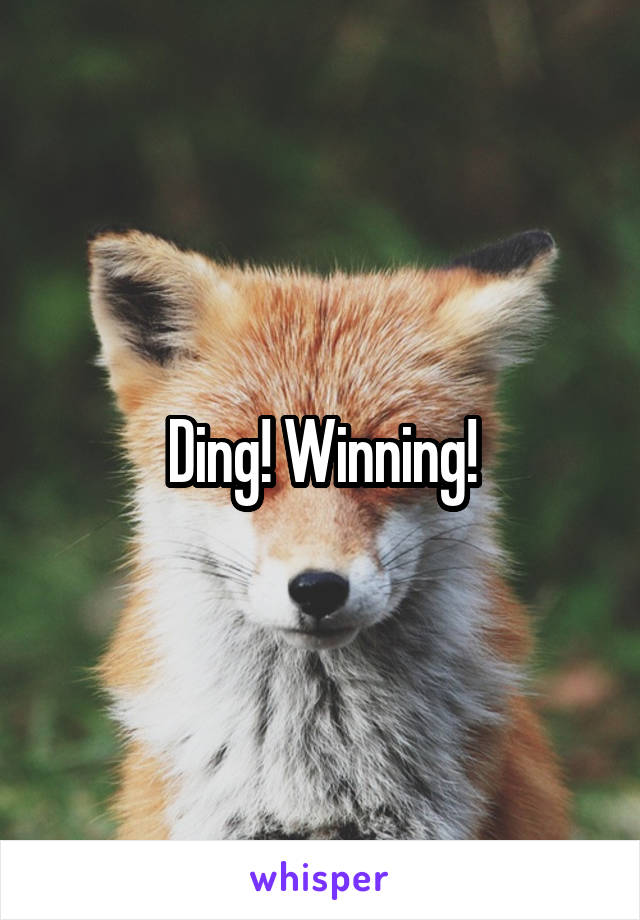 Ding! Winning!