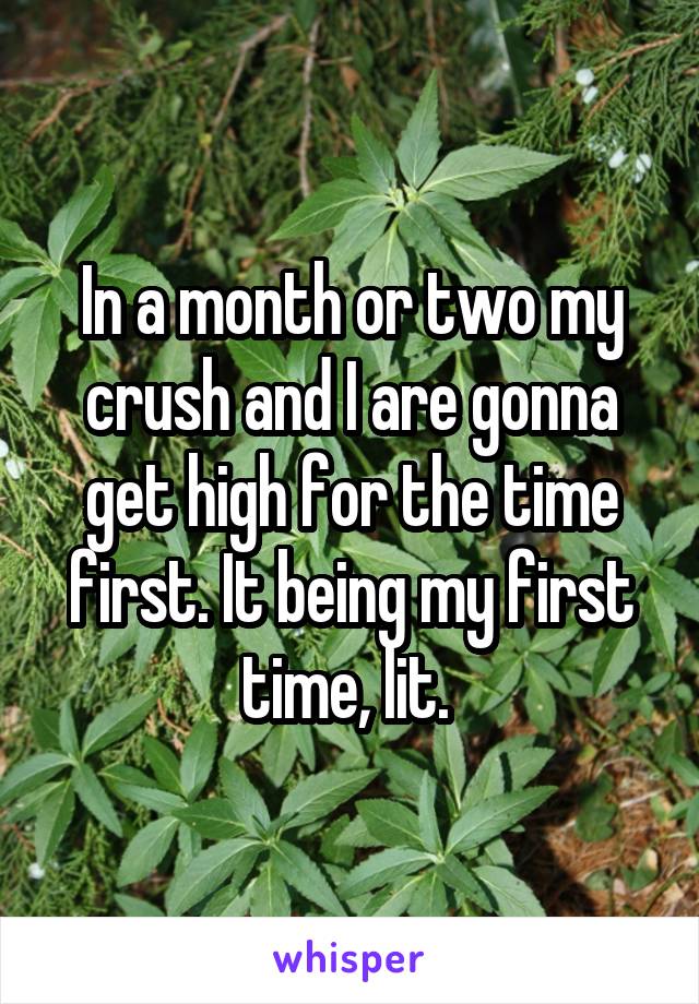 In a month or two my crush and I are gonna get high for the time first. It being my first time, lit. 