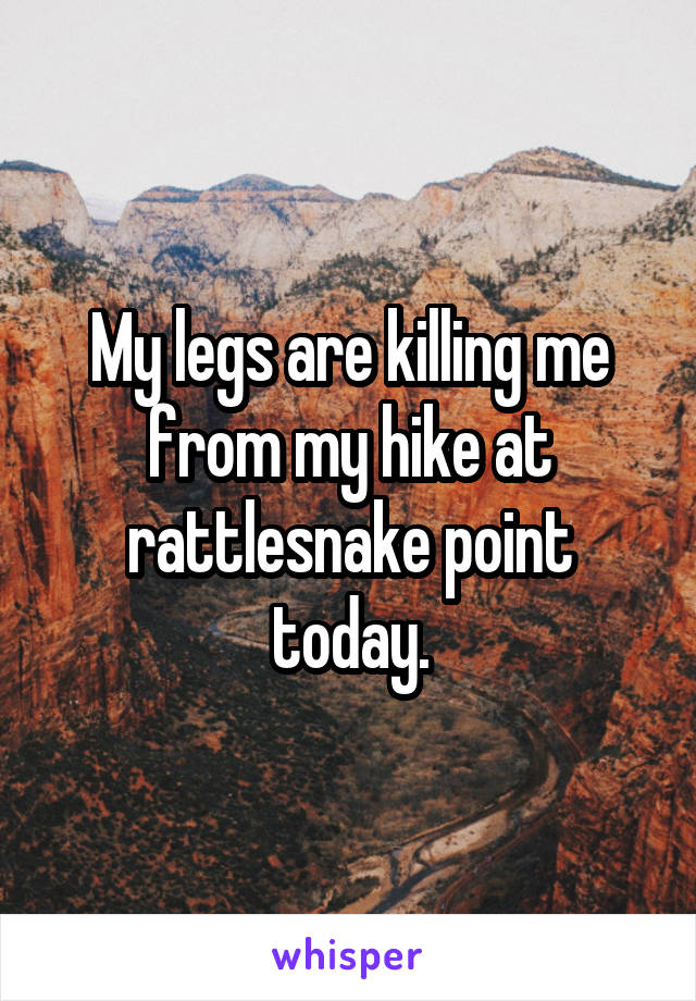 My legs are killing me from my hike at rattlesnake point today.