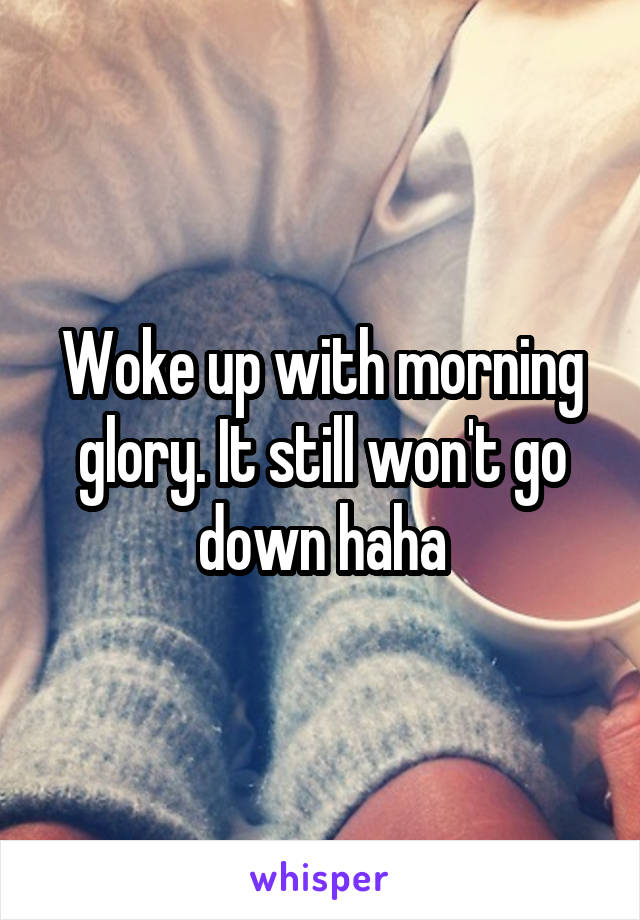Woke up with morning glory. It still won't go down haha