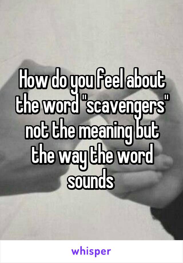 How do you feel about the word "scavengers" not the meaning but the way the word sounds 