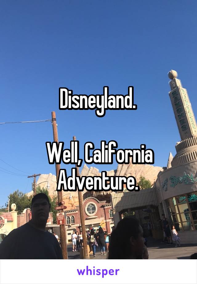Disneyland. 

Well, California Adventure. 
