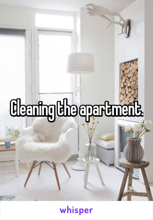 Cleaning the apartment.