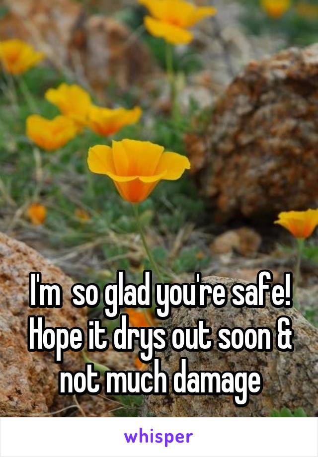 





I'm  so glad you're safe!
Hope it drys out soon & not much damage
