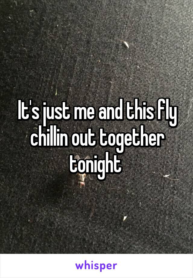 It's just me and this fly chillin out together tonight 