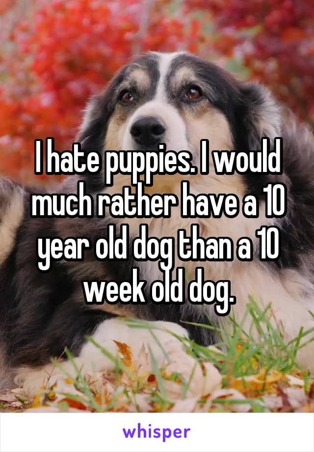 I hate puppies. I would much rather have a 10 year old dog than a 10 week old dog.