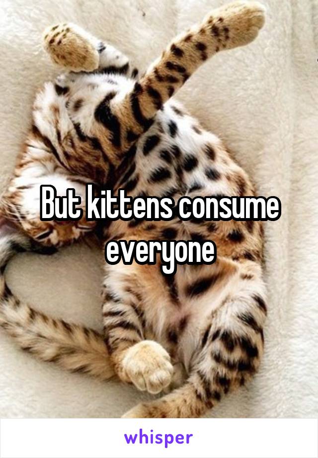 But kittens consume everyone