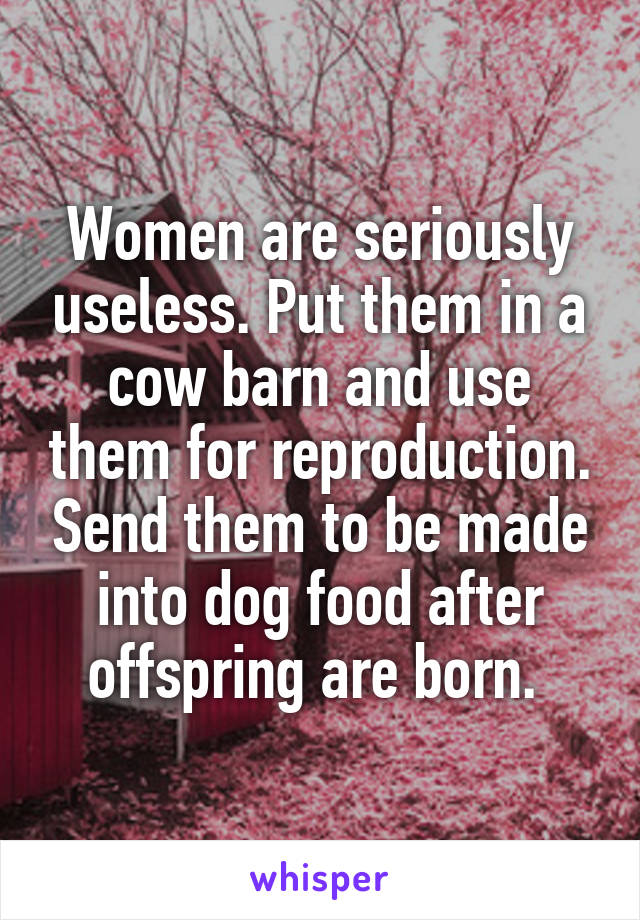 Women are seriously useless. Put them in a cow barn and use them for reproduction. Send them to be made into dog food after offspring are born. 