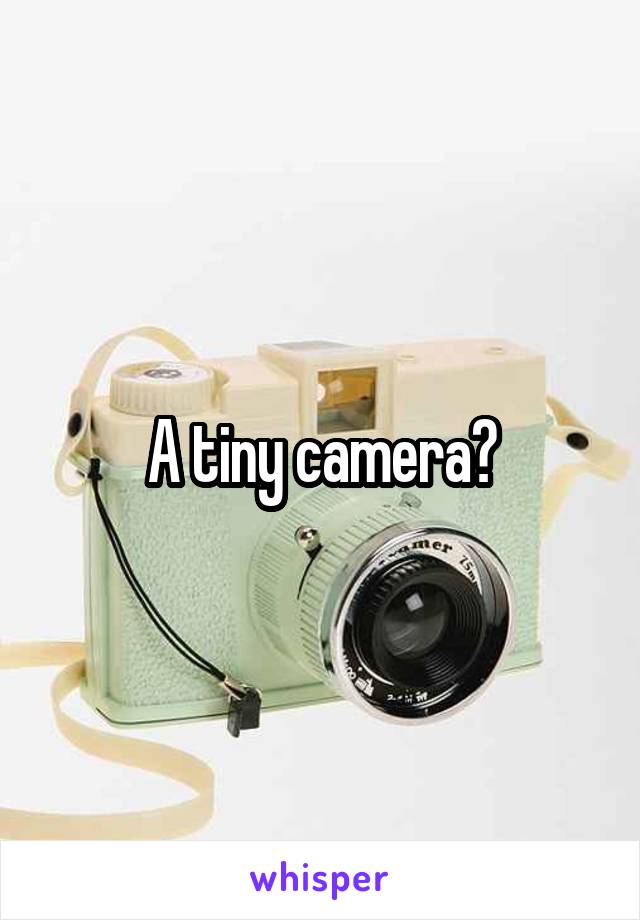 A tiny camera?