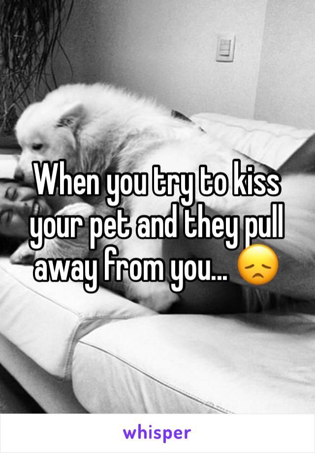When you try to kiss your pet and they pull away from you... 😞