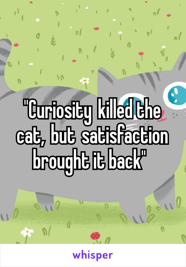 "Curiosity killed the cat, but satisfaction brought it back" 