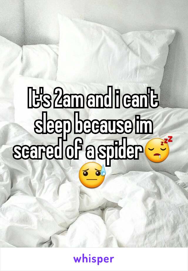 It's 2am and i can't sleep because im scared of a spider😴😓 