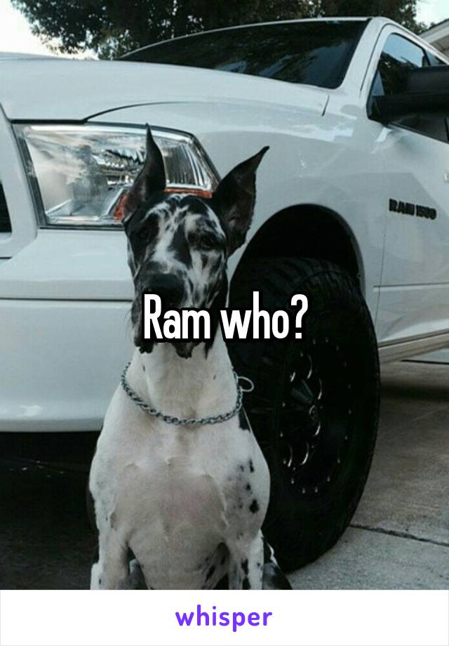 Ram who?