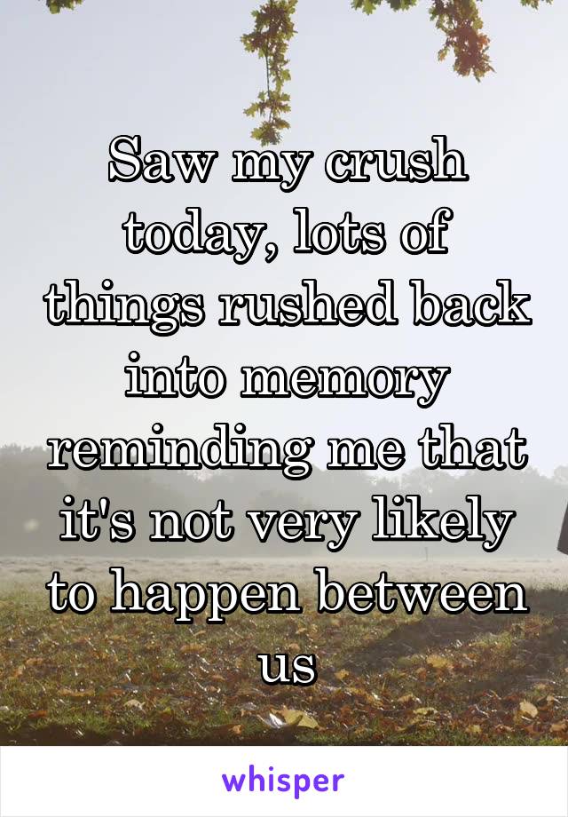Saw my crush today, lots of things rushed back into memory reminding me that it's not very likely to happen between us