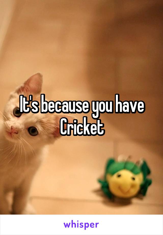 It's because you have Cricket