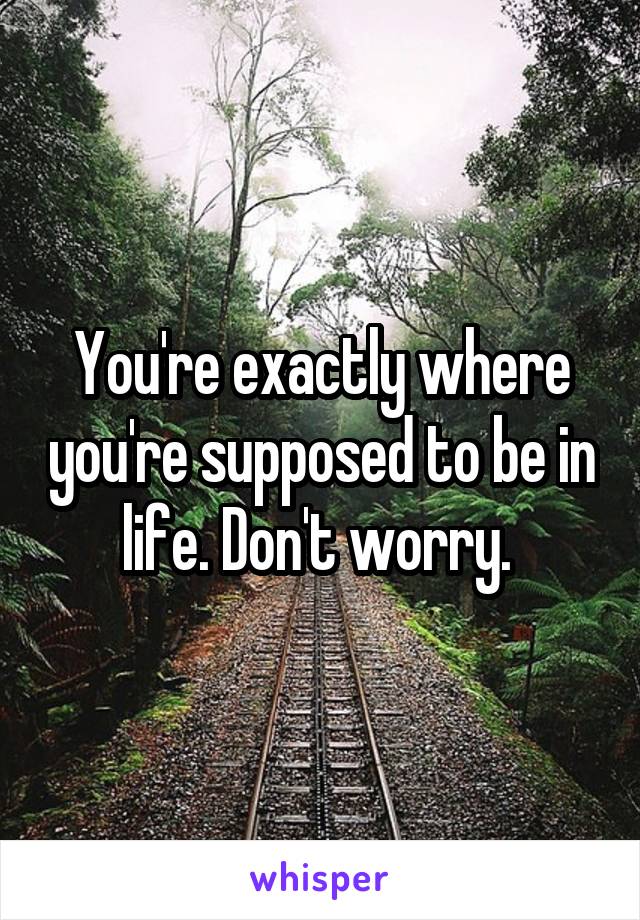 You're exactly where you're supposed to be in life. Don't worry. 