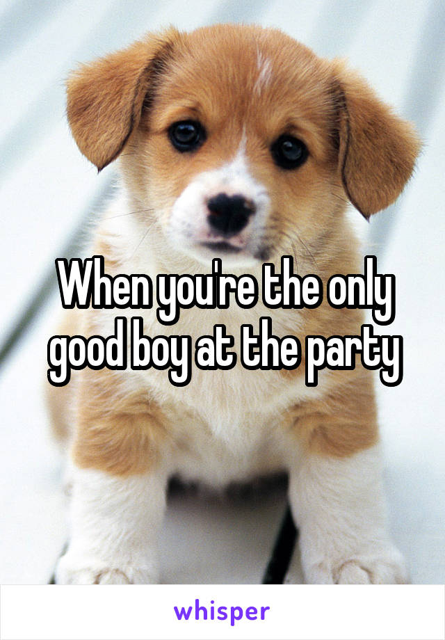 When you're the only good boy at the party