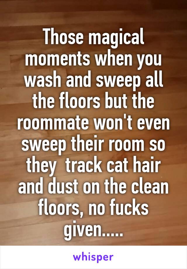 Those magical moments when you wash and sweep all the floors but the roommate won't even sweep their room so they  track cat hair and dust on the clean floors, no fucks given.....