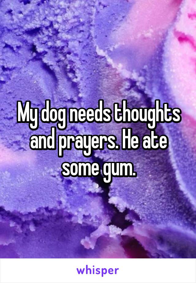 My dog needs thoughts and prayers. He ate some gum.