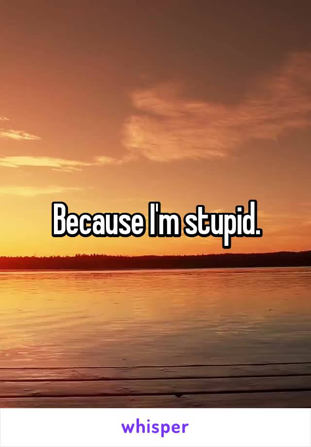 Because I'm stupid.