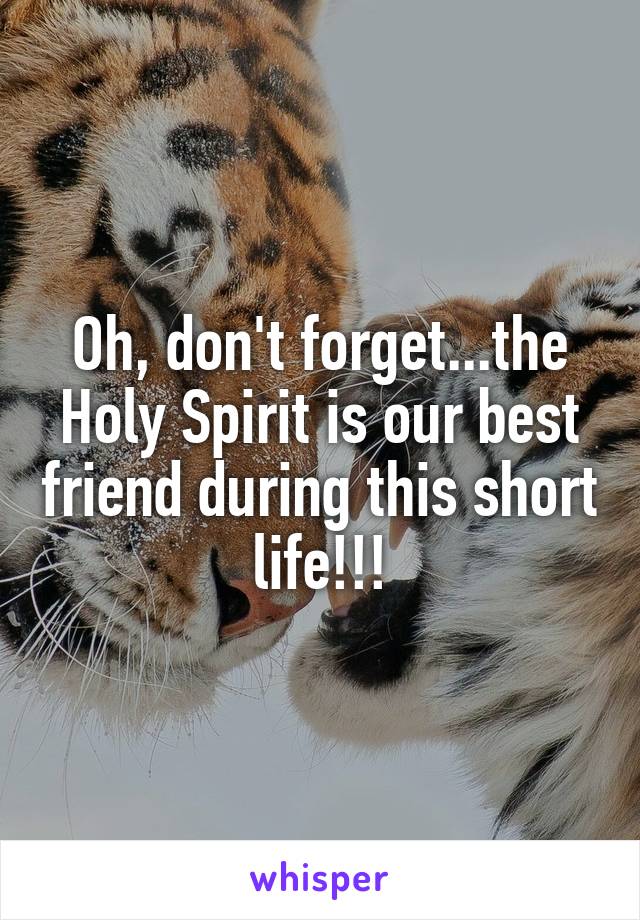 Oh, don't forget...the Holy Spirit is our best friend during this short life!!!