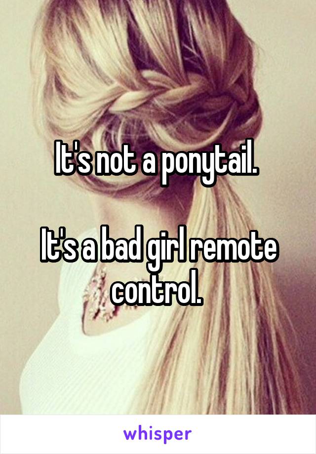 It's not a ponytail. 

It's a bad girl remote control. 