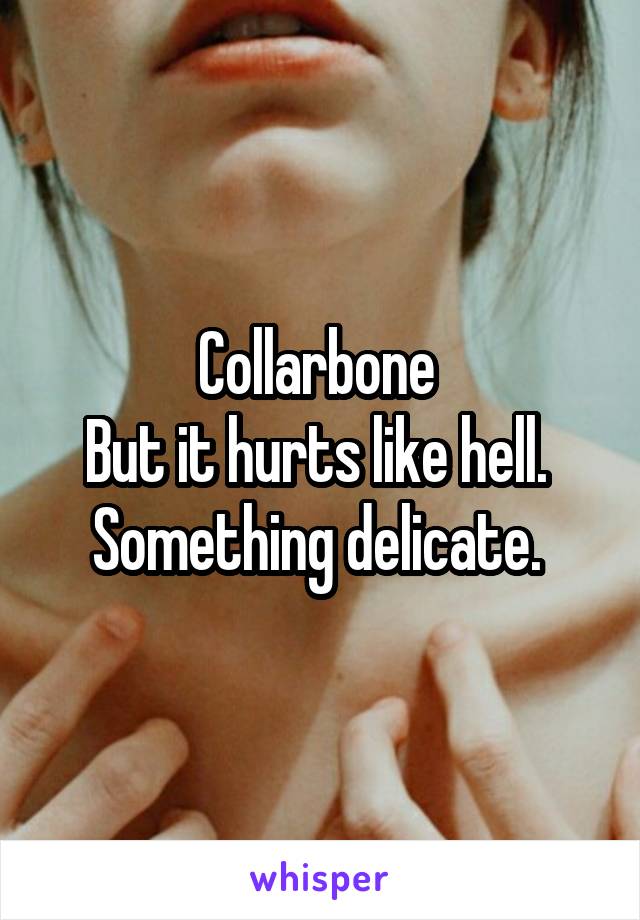 Collarbone 
But it hurts like hell. 
Something delicate. 