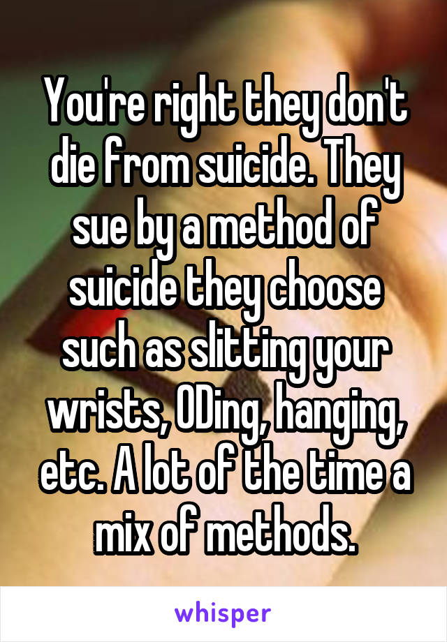 You're right they don't die from suicide. They sue by a method of suicide they choose such as slitting your wrists, ODing, hanging, etc. A lot of the time a mix of methods.