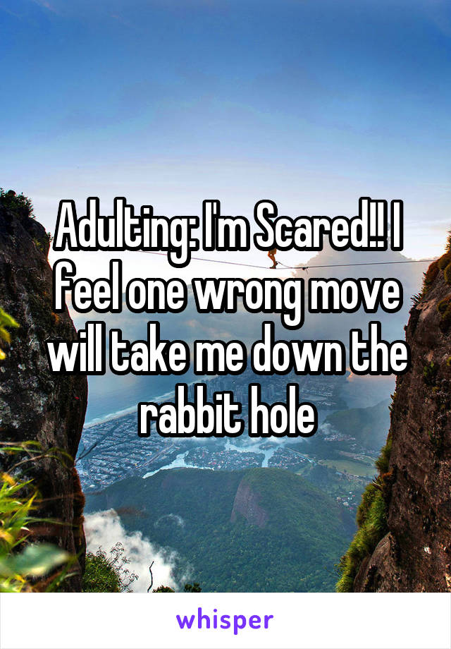 Adulting: I'm Scared!! I feel one wrong move will take me down the rabbit hole