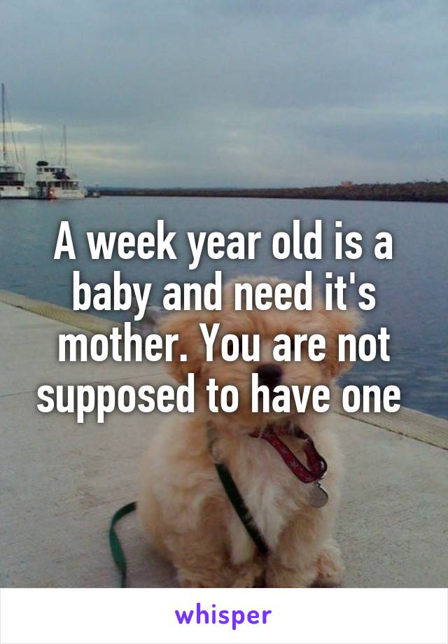 A week year old is a baby and need it's mother. You are not supposed to have one 