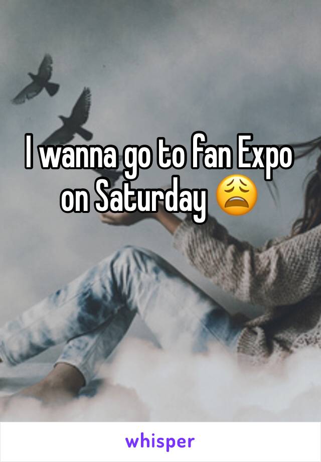 I wanna go to fan Expo on Saturday 😩