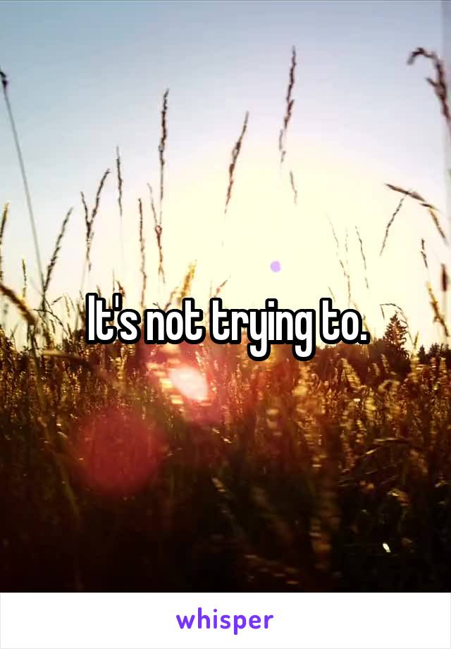 It's not trying to.