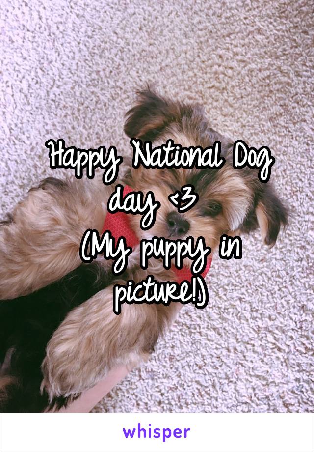 Happy National Dog day <3 
(My puppy in picture!)