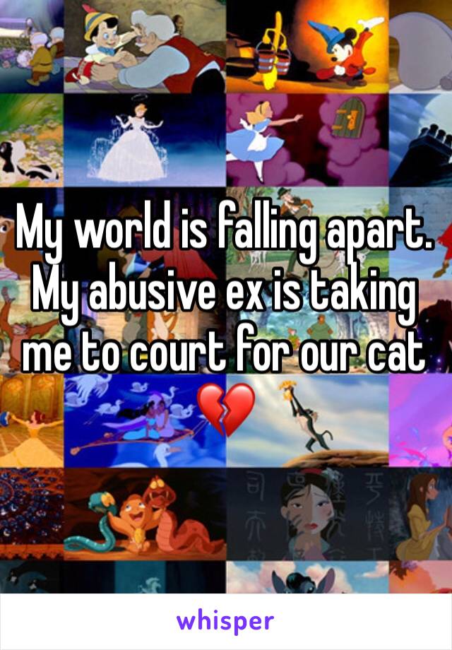 My world is falling apart. My abusive ex is taking me to court for our cat 💔