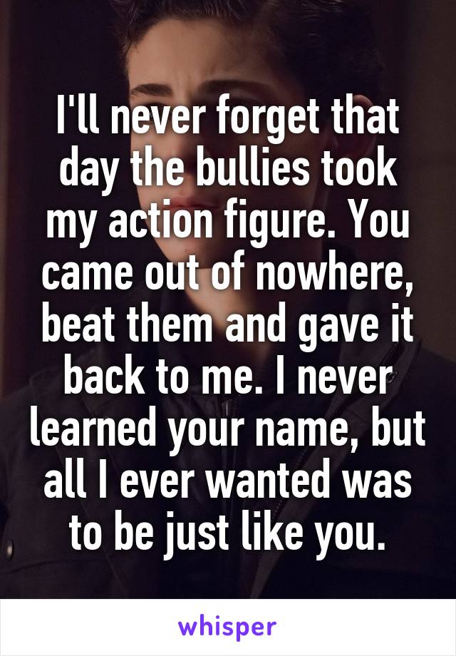 I'll never forget that day the bullies took my action figure. You came out of nowhere, beat them and gave it back to me. I never learned your name, but all I ever wanted was to be just like you.