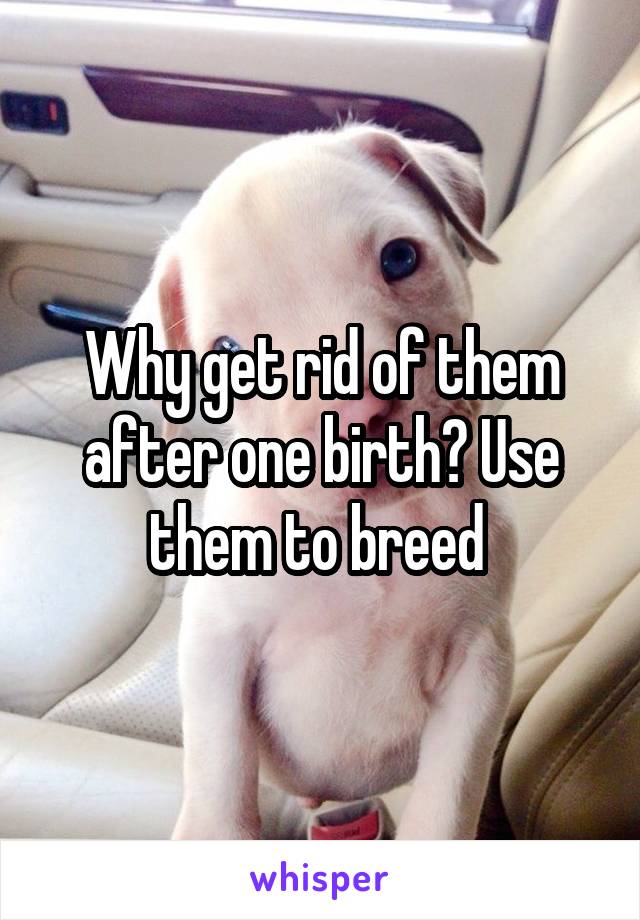 Why get rid of them after one birth? Use them to breed 