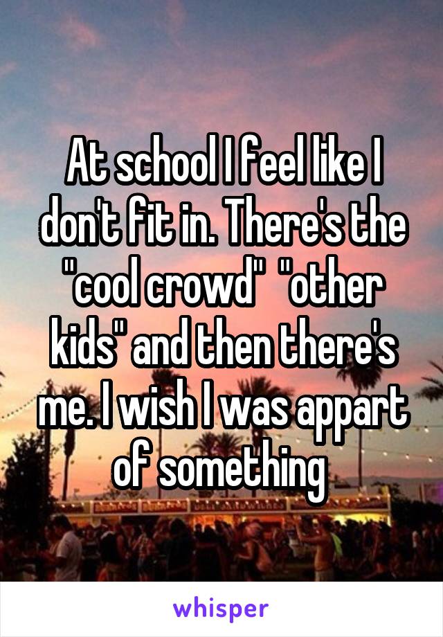 At school I feel like I don't fit in. There's the "cool crowd"  "other kids" and then there's me. I wish I was appart of something 