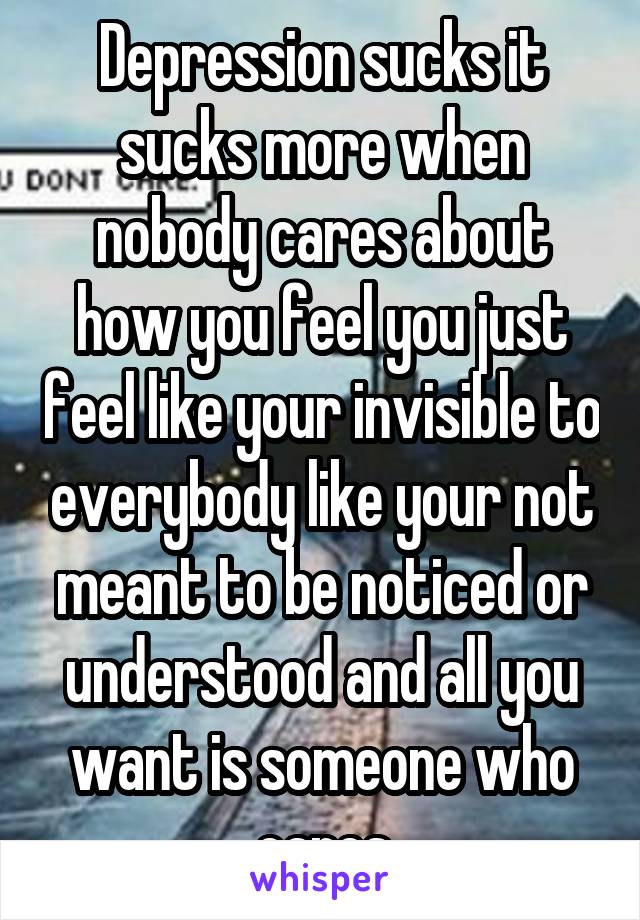 Depression sucks it sucks more when nobody cares about how you feel you just feel like your invisible to everybody like your not meant to be noticed or understood and all you want is someone who cares